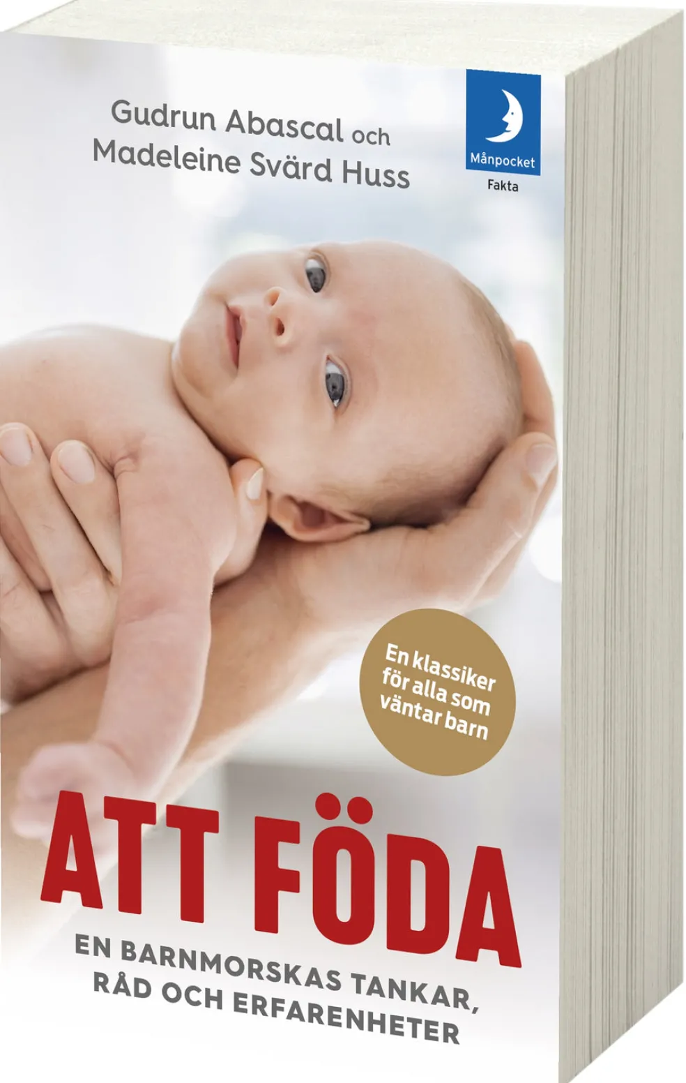 Att föda : en barnmorskas tankar, råd och erfarenheter