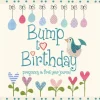 Bump to Birthday, Pregnancy & First Year Journal