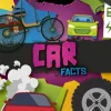 Car facts
