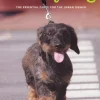 City Dog