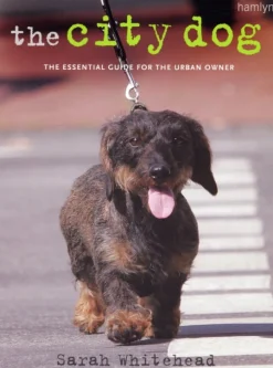 City Dog
