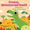 Croeso, deinosoriaid bach! / Welcome, little dinosaurs!