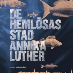De hemlösas stad