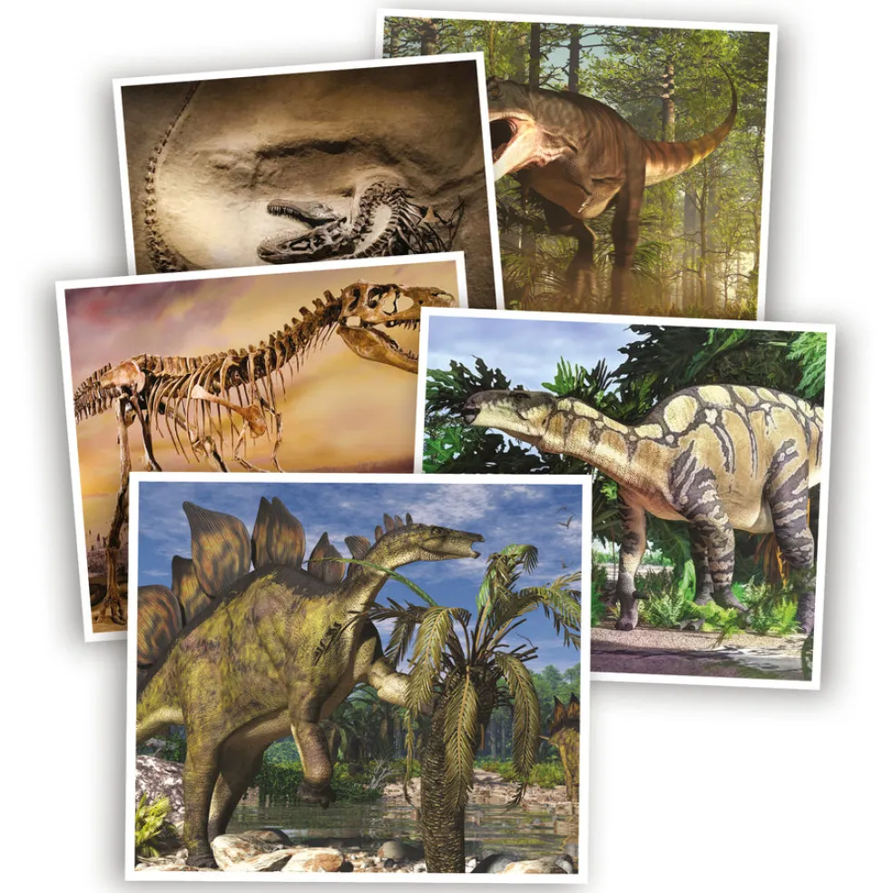 Dinosaurusten Ihmeellinen Maailma - Tietovisa