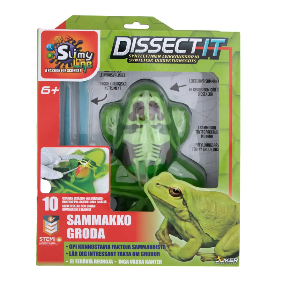 Dissect it Sammakko