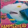 Hammerhead shark