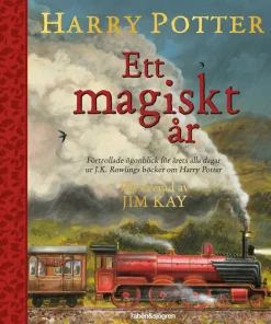 Harry Potter : ett magiskt år
