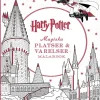 Harry Potter Magiska platser och varelser Målarbok