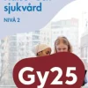 Hälso- och sjukvård, nivå 2