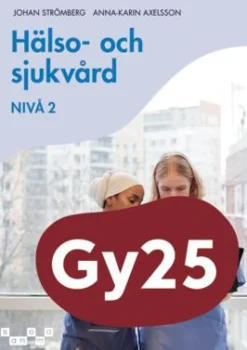 Hälso- och sjukvård, nivå 2