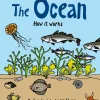 How the ocean works