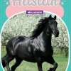 Hästar målarbok