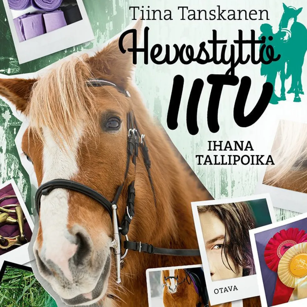Ihana tallipoika