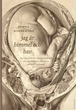 Jag är himmel och hav : en filosofisk undersökning av graviditet, liv och jagets gränser