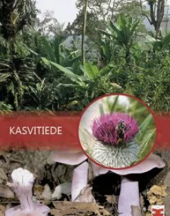 Kasvitiede