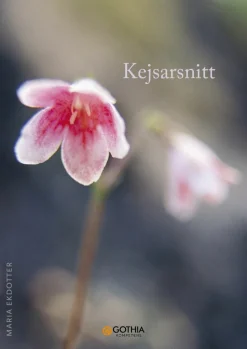 Kejsarsnitt