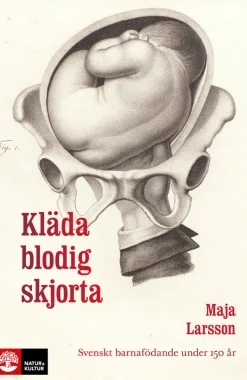 Kläda blodig skjorta : svenskt barnafödande under 150 år