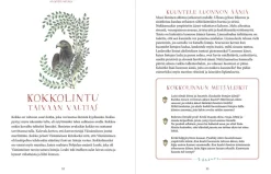 Kätköissä metsien