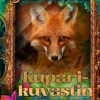 Kuparikuvastin