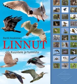 Linnut - kuuntele ja tunnista