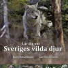 Lär dig om Sveriges vilda djur