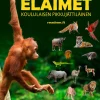 Maailman eläimet - Koululaisen pikkujättiläinen