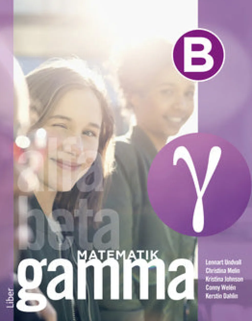 Matematik Gamma B-boken