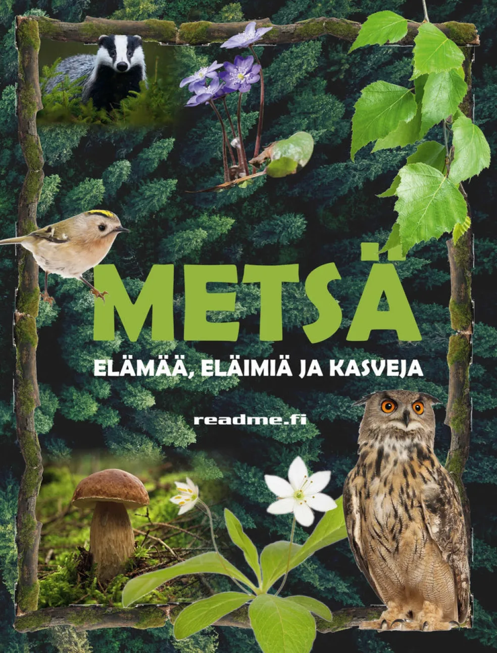Metsä - elämää, eläimiä ja kasveja