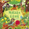 Metsän ääniä