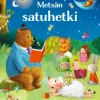 Metsän satuhetki