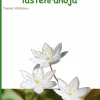 Metsätähdet tuikkivat