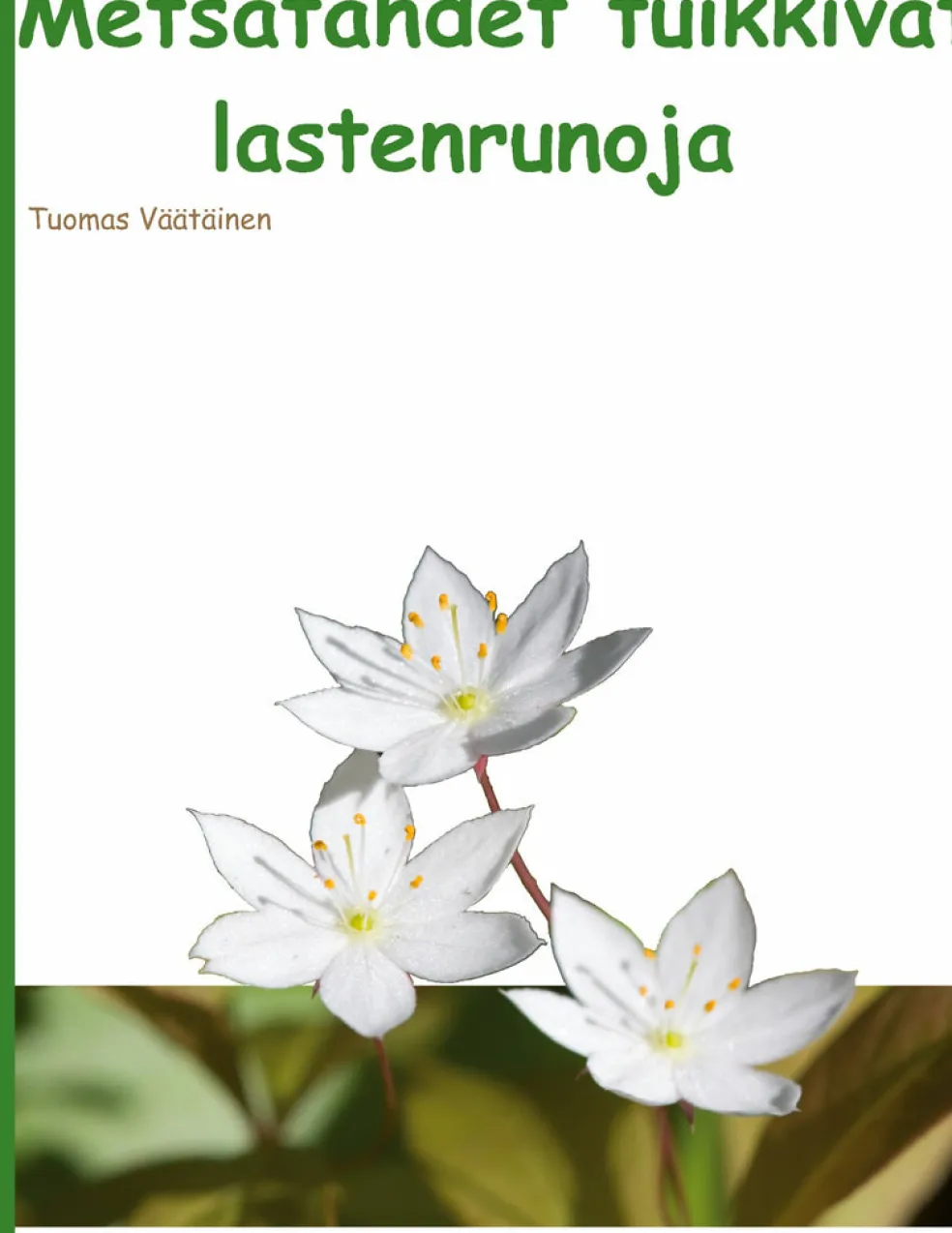 Metsätähdet tuikkivat