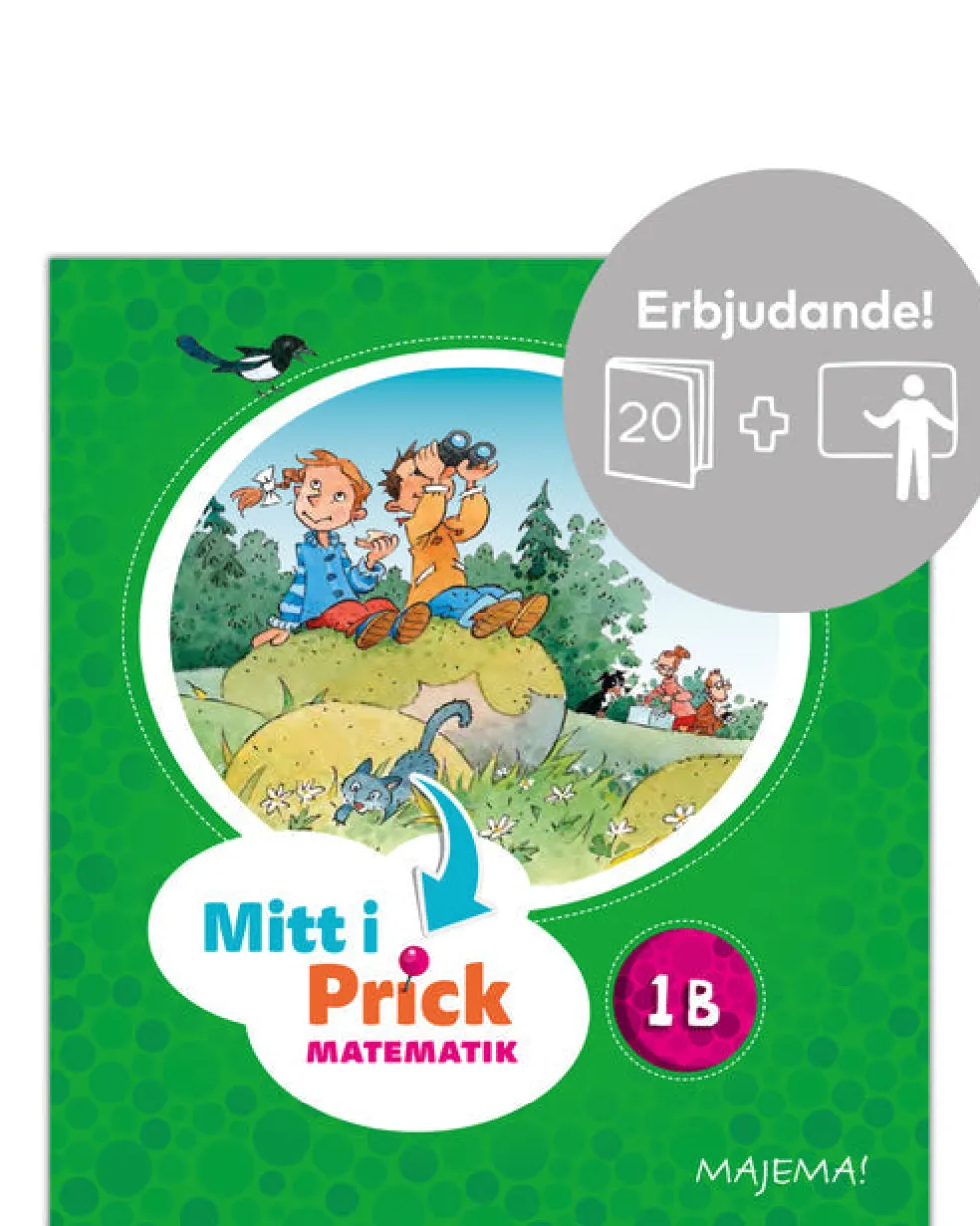 Mitt i prick 1B paket (2817kr)