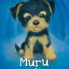 Muru kiipelissä