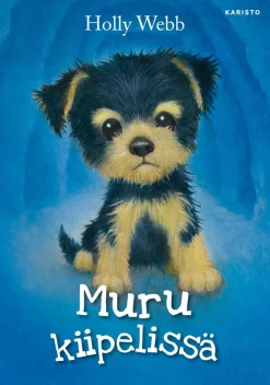 Muru kiipelissä