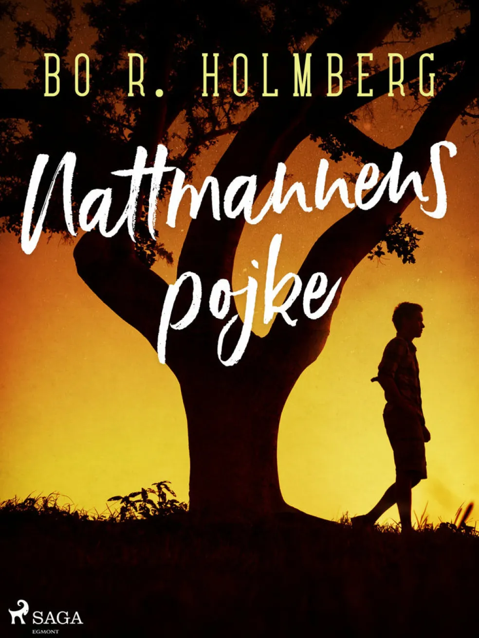 Nattmannens pojke