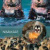 Nisäkkäät