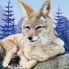 Nisäkkäät : Koiraeläimet