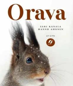 Orava