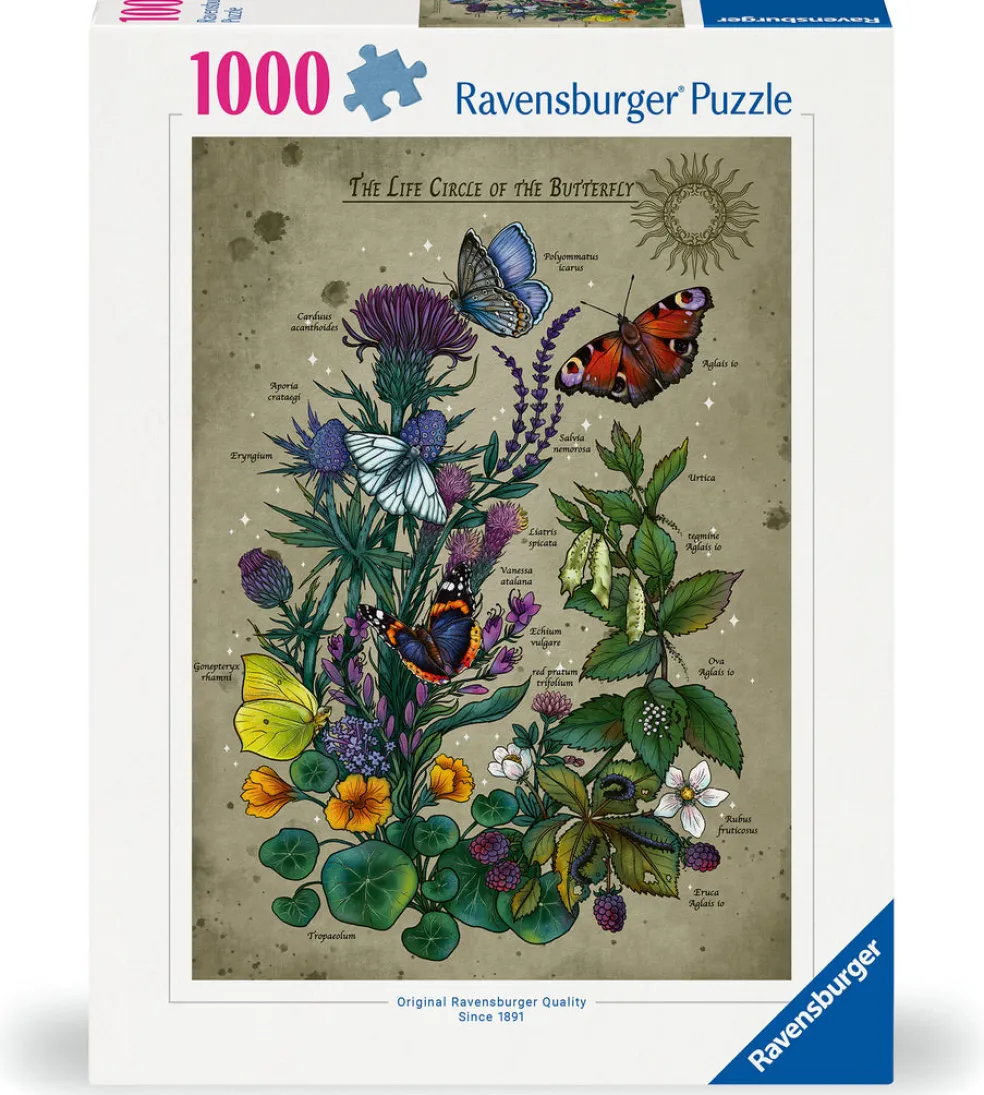 Palapeli 1000 palaa Lifecircle Butterfly