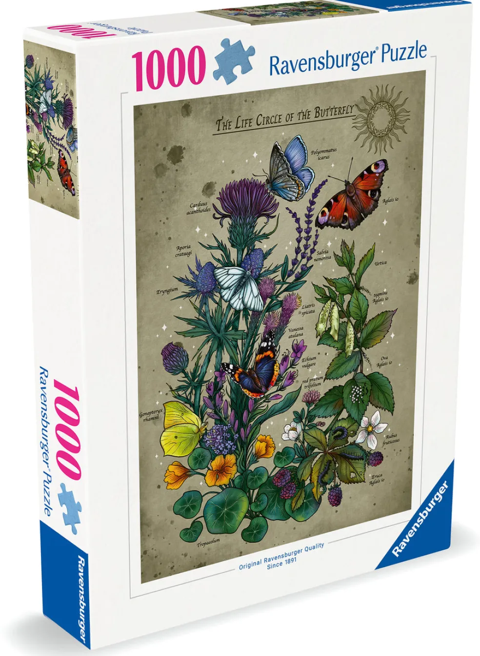 Palapeli 1000 palaa Lifecircle Butterfly