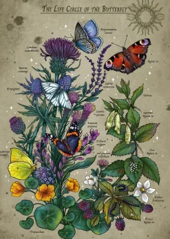 Palapeli 1000 palaa Lifecircle Butterfly