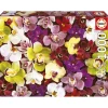 Palapeli 1000 palaa Orchid Collage