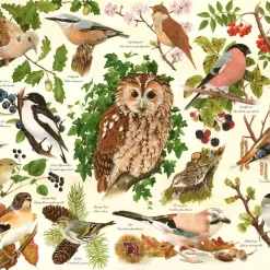 Palapeli 500 palaa Woodland Birds BIG