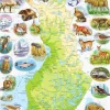 Palapeli Larsen Suomen kartta ja eläimiä Maxi