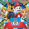 Paw Patrol Look & Find 3D