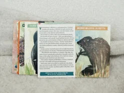 Pingviini, joka halusi lentää ja muita tarinoita