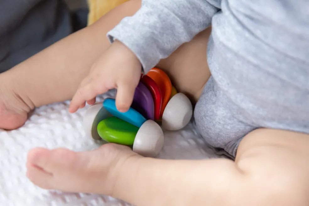 Puinen ensilelu Plantoys