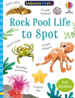 Rock Pool Life to Spot