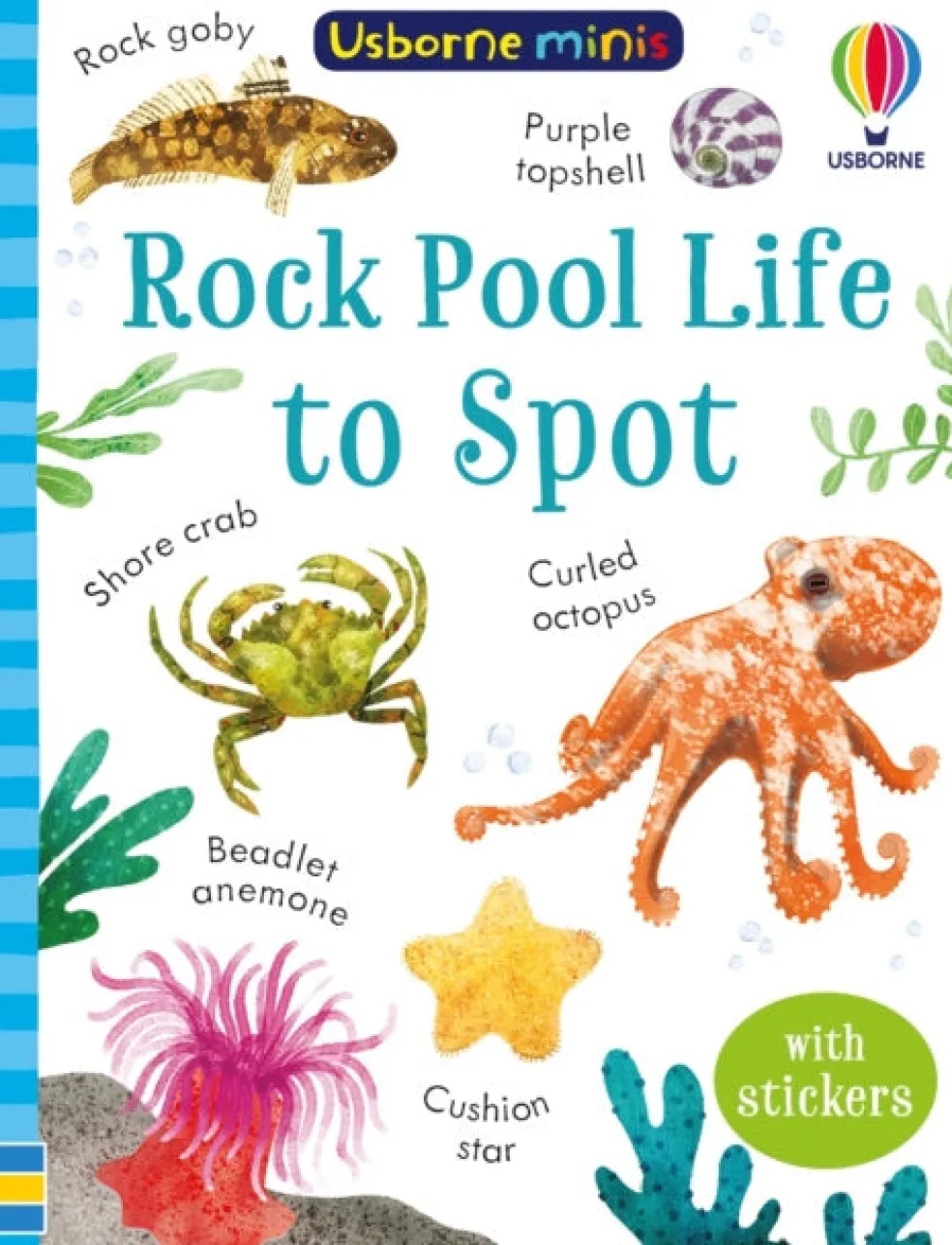 Rock Pool Life to Spot